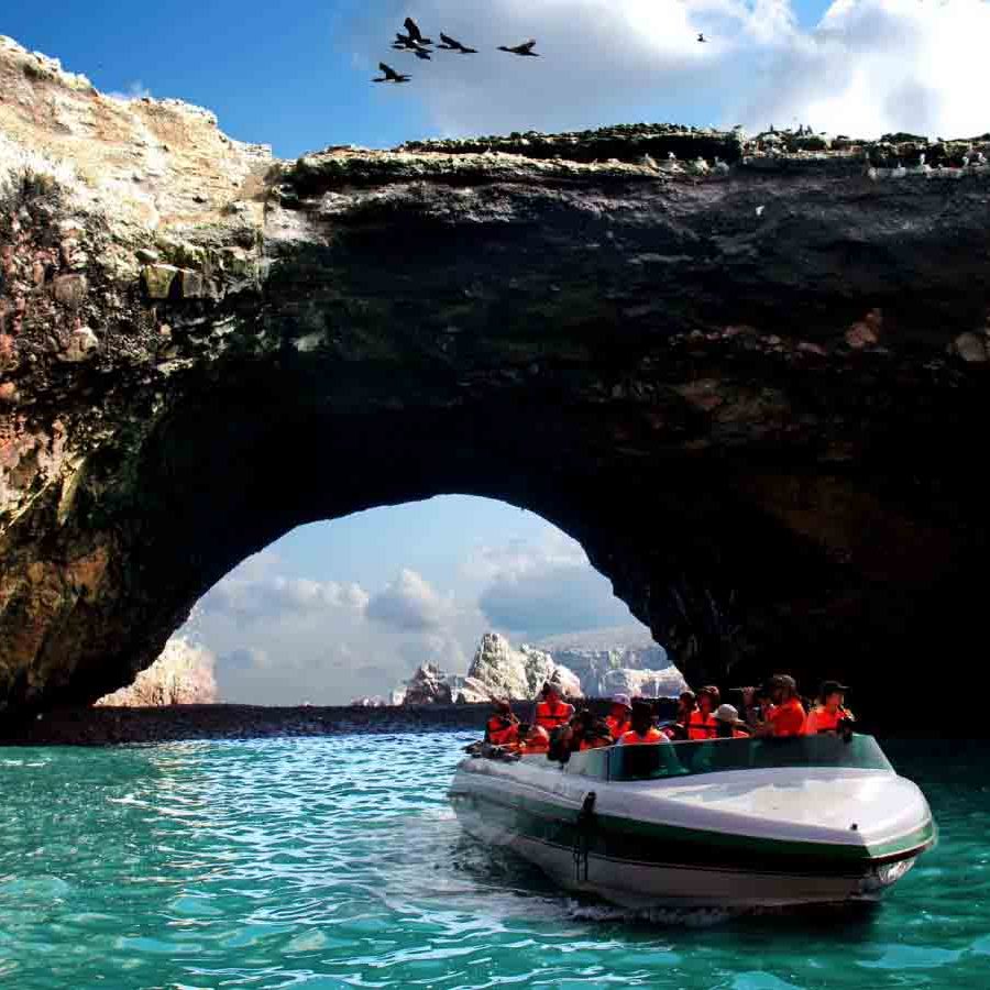 Full Day Paracas - Ica & Huacachina, Almuerzo en Viñedo | Desde Lima